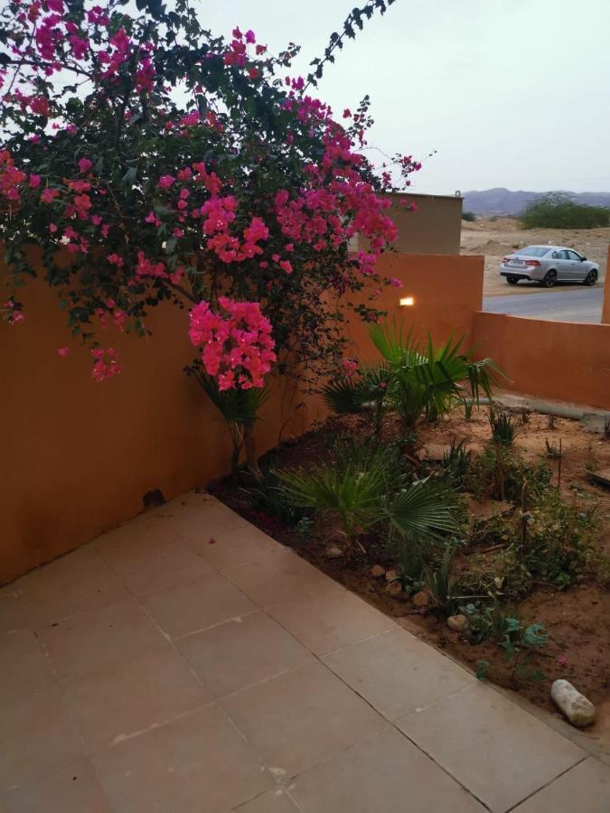 A Wonderful Stay At The Dead Sea Sweimeh Exterior photo