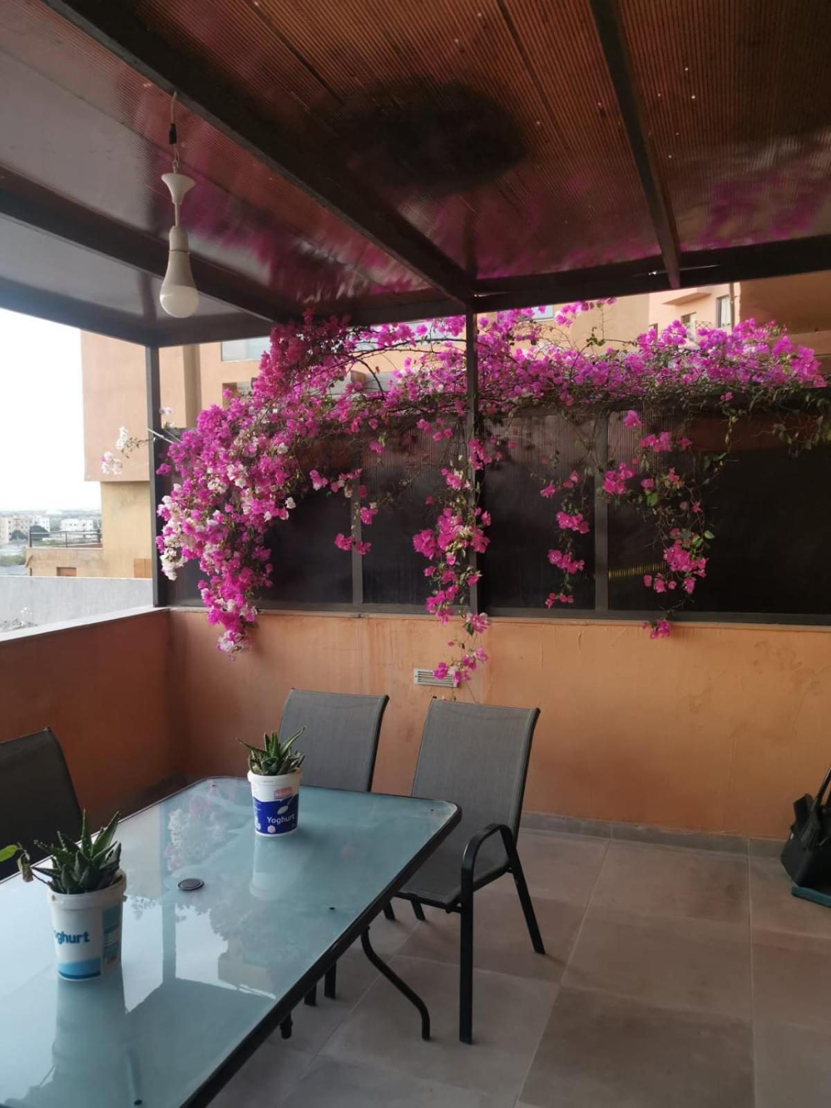 A Wonderful Stay At The Dead Sea Sweimeh Exterior photo